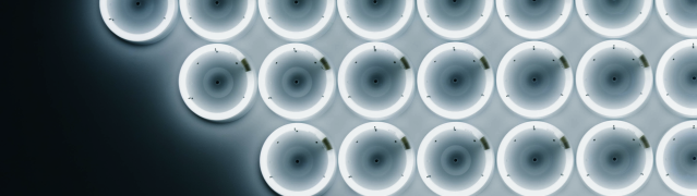avantumconsult_1920x540_technologiepartner